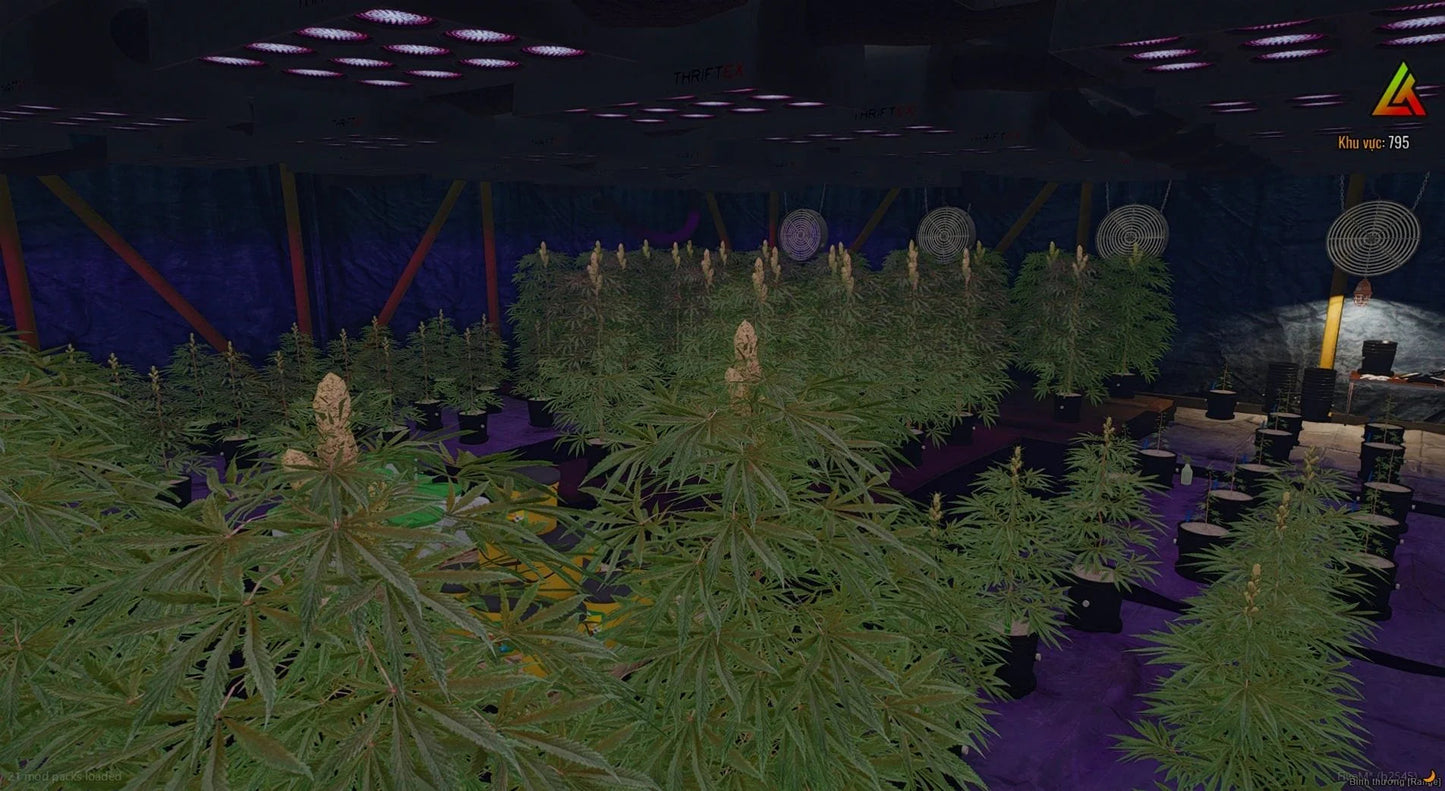 Storage + Weed