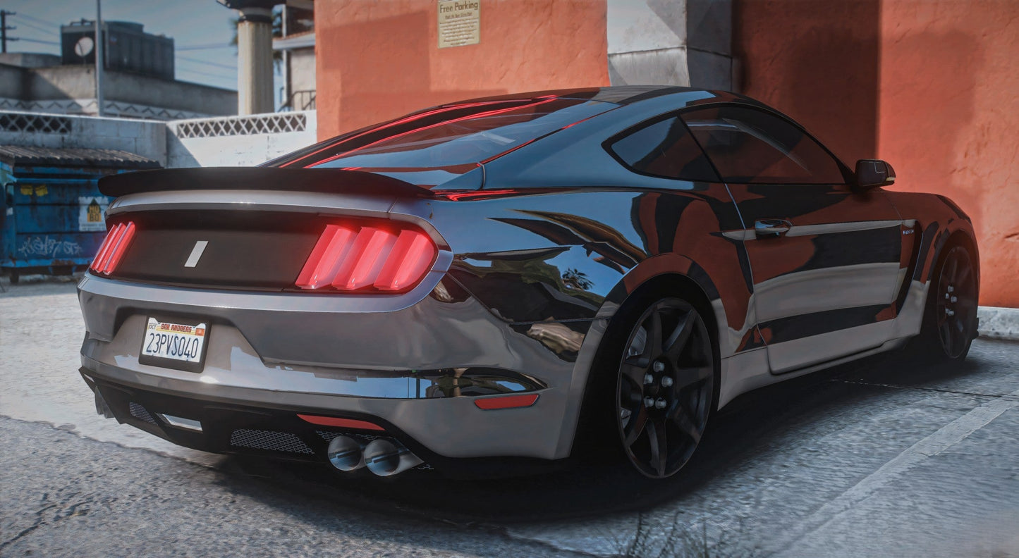 2018 Mustang Shelby GT350R | Underground Customs