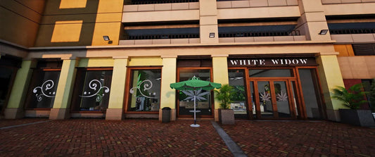  Weed Shop (Store)