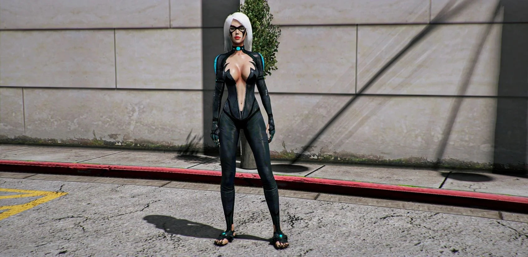 Black Cat
