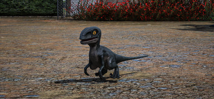 Baby Velociraptor