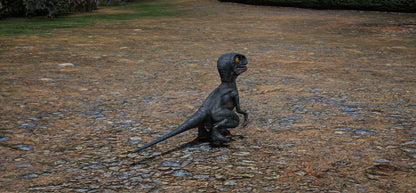 Baby Velociraptor