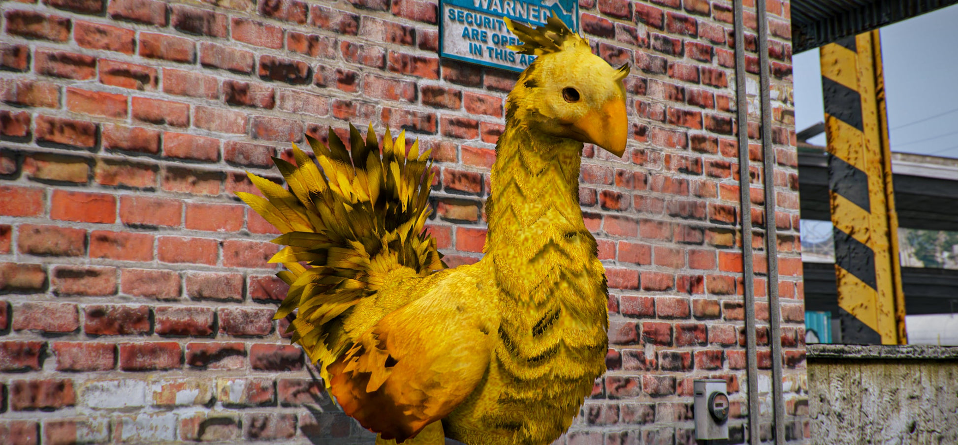 Chocobo