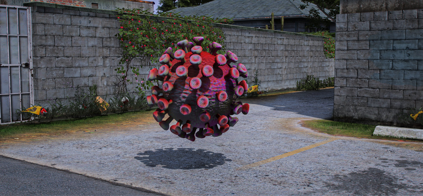 Corona Virus