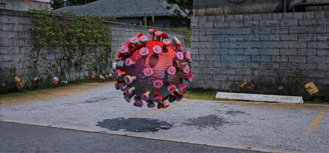 Corona Virus