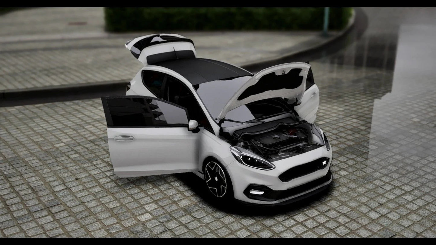 (Unbranded) Ford Fiesta ST3 Maxton Design | Hayes