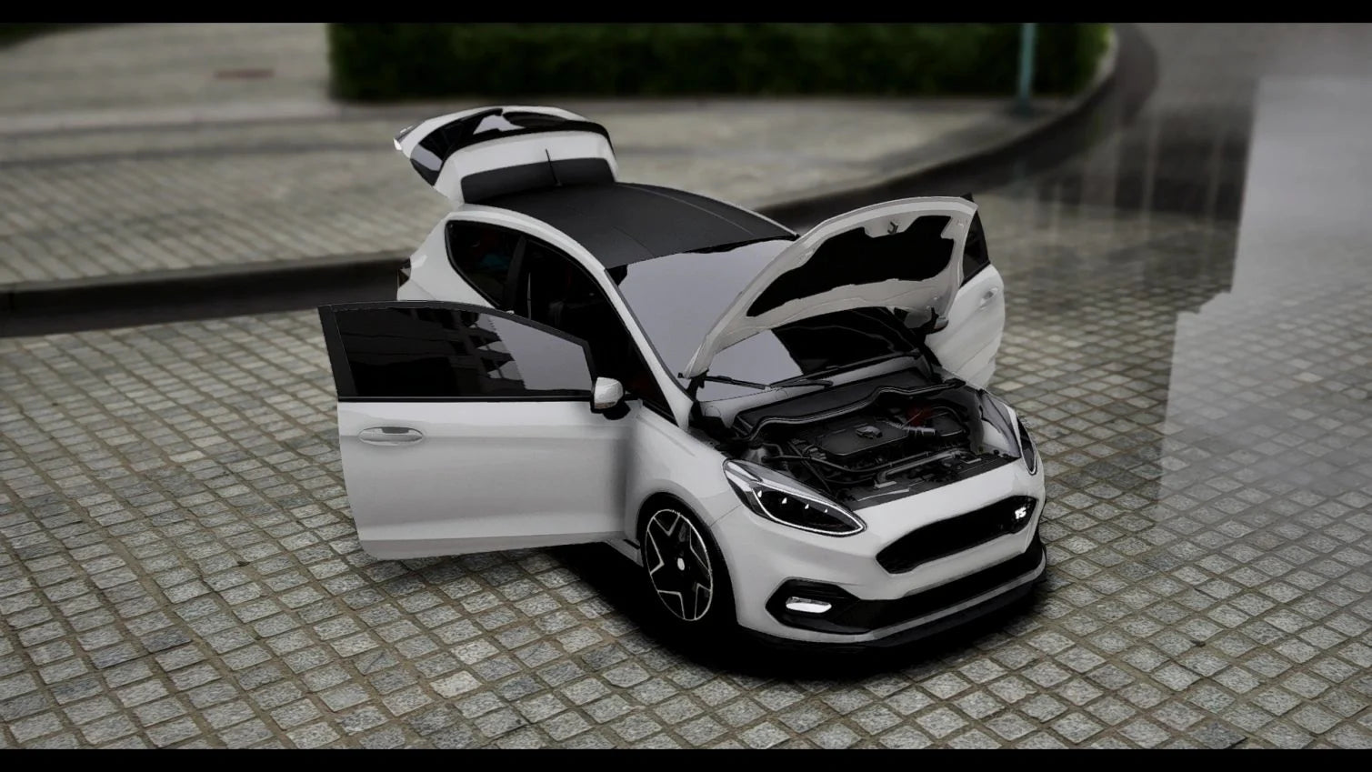 (Unbranded) Ford Fiesta ST3 Maxton Design | Hayes