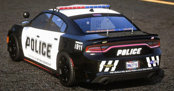 (Unbranded) [ELS] 2022 Dodge Charger | Rabbit