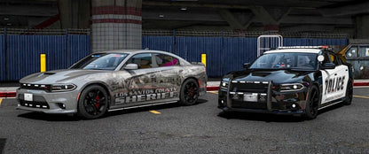 [ELS] 2022 Dodge Charger | Rabbit