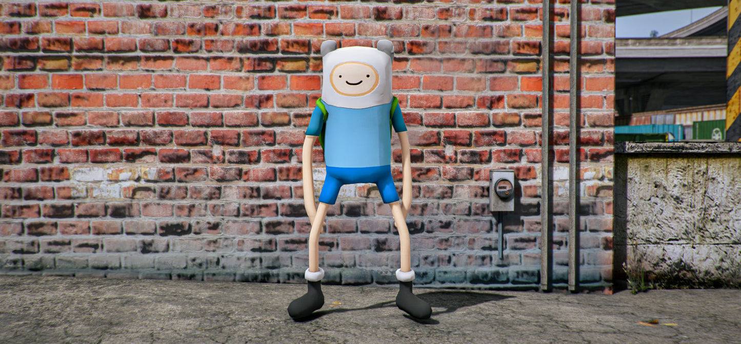 Finn