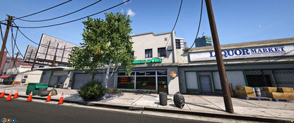  San Andreas Sport Shop (Store)