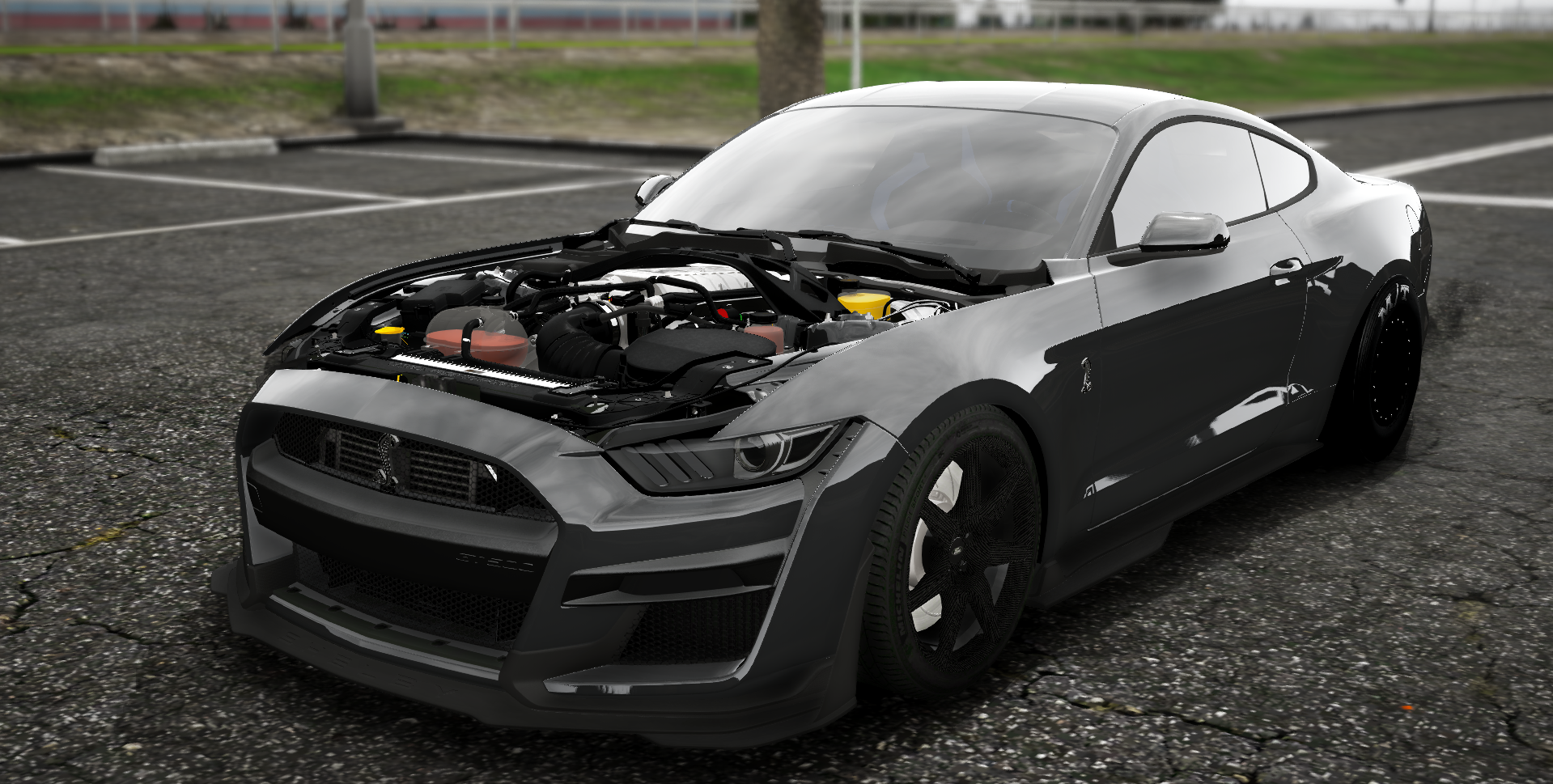 Shelby Obsidian Wraith | Drakes
