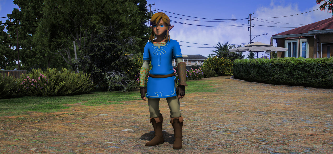 Link