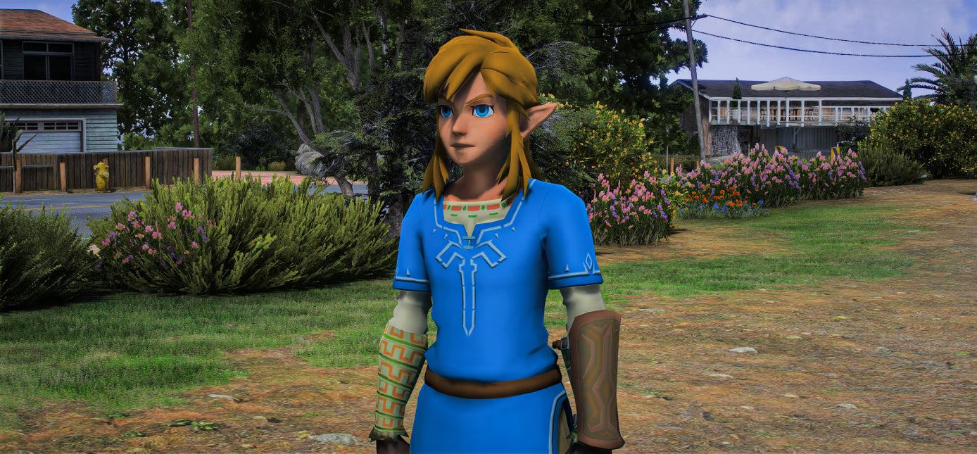 Link