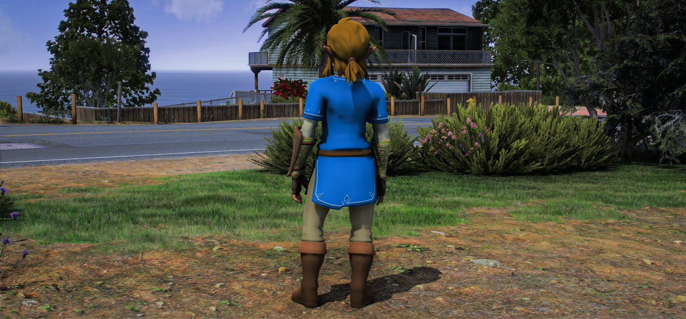 Link
