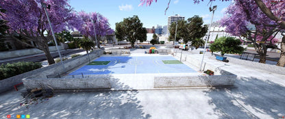  Basketball Courts
