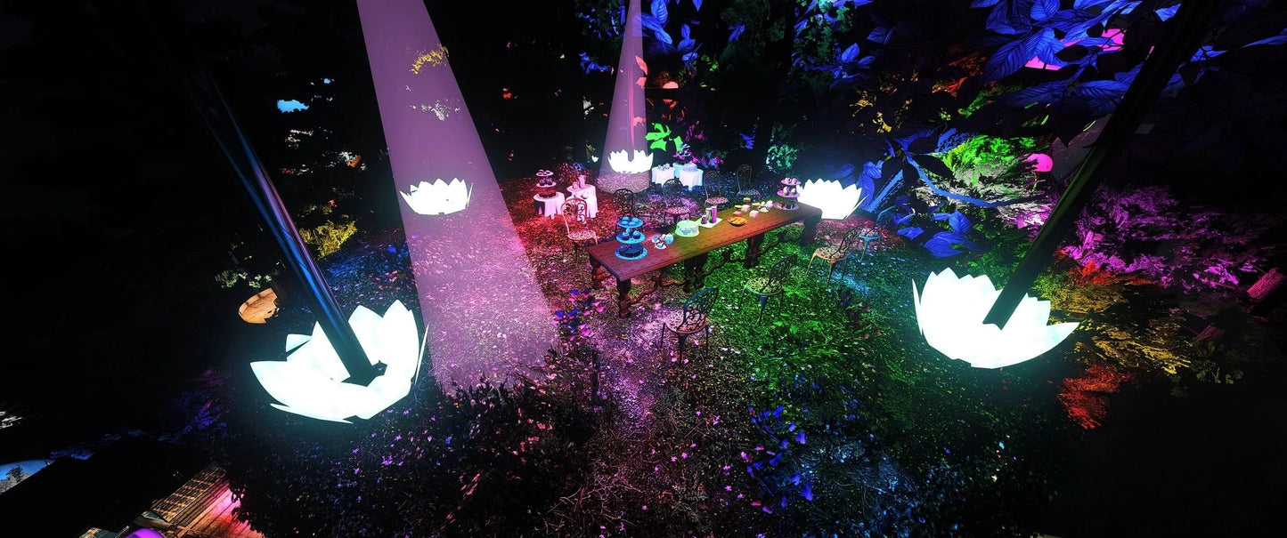  Fairy Forest
