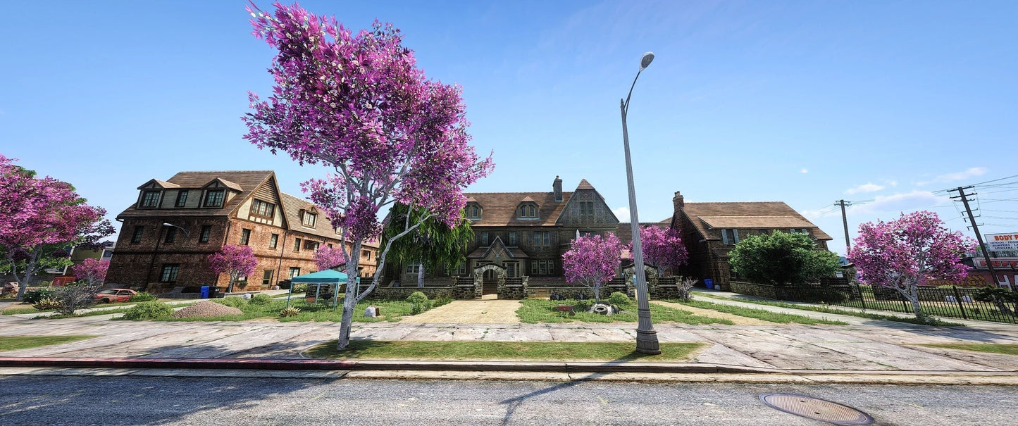  Meadow Hills Street Chicago Hood (World)