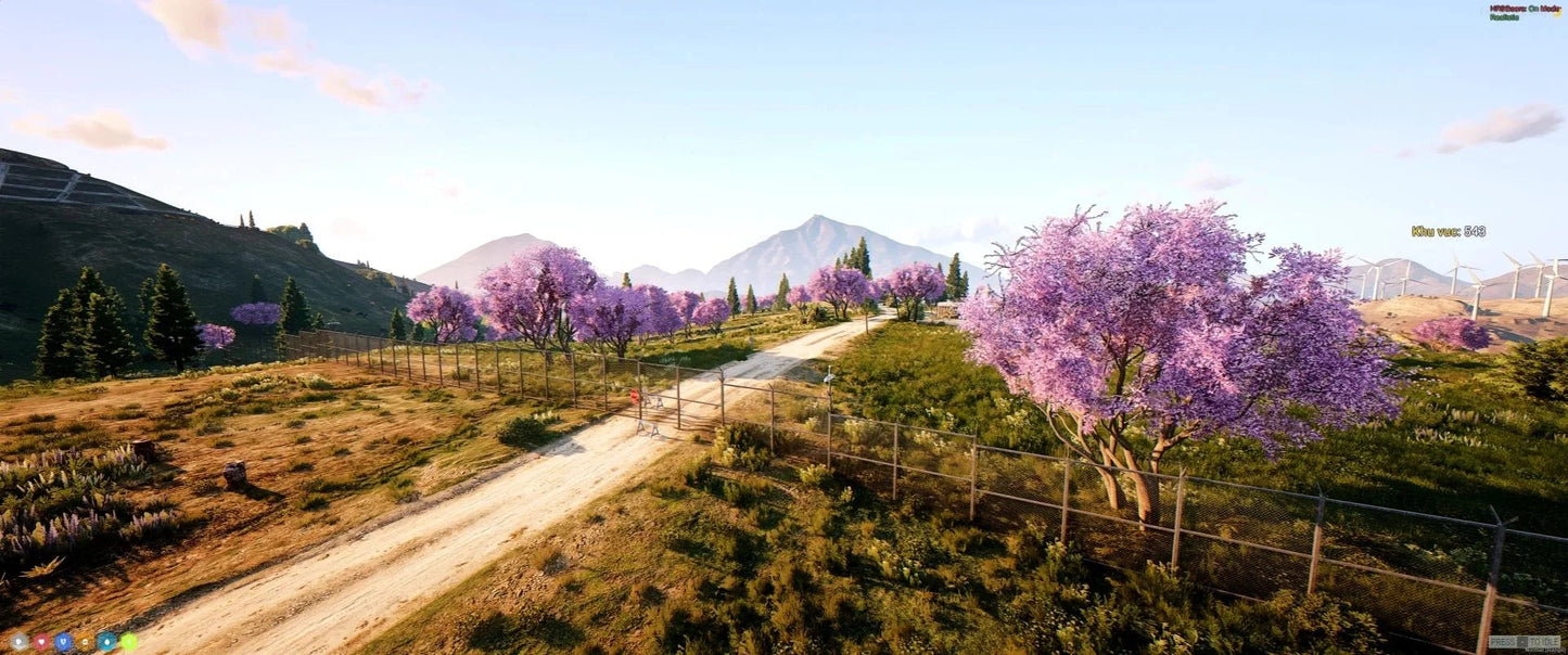  The Border
