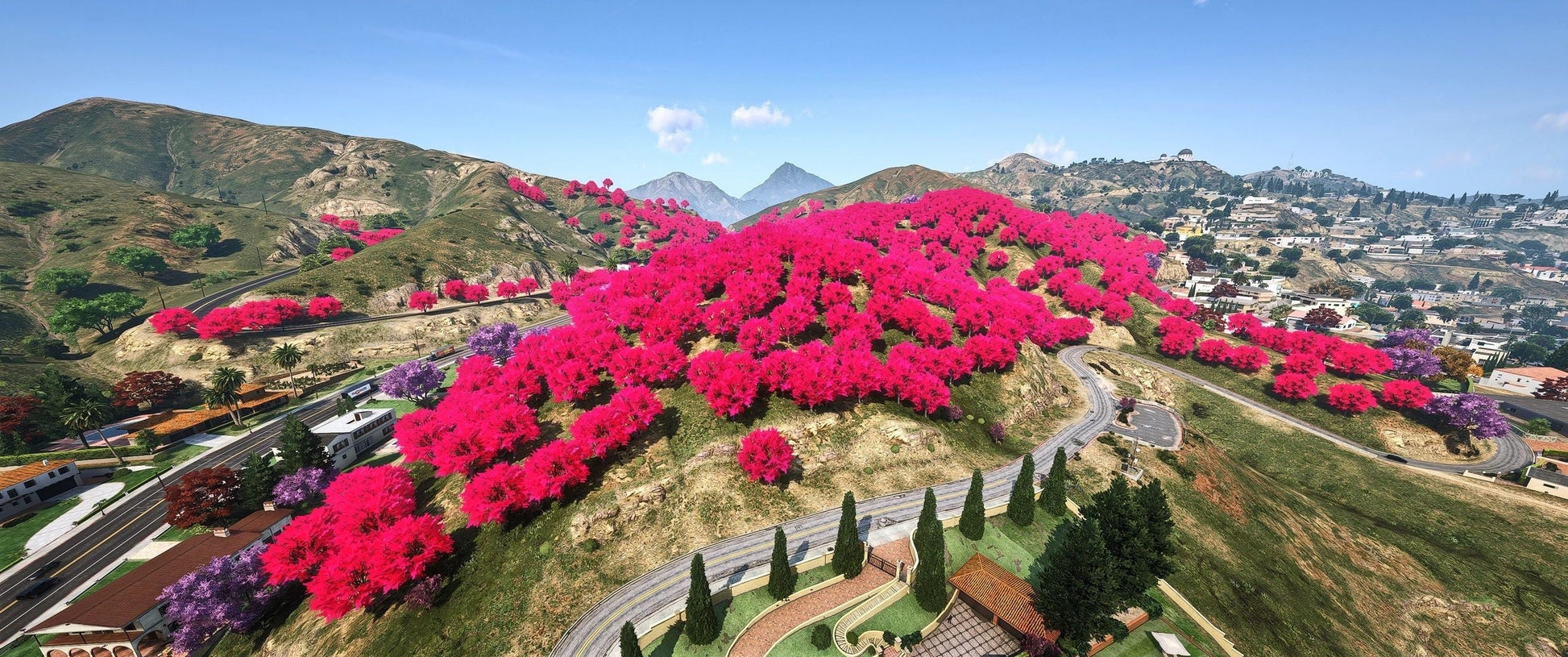  Tree Red Flowers