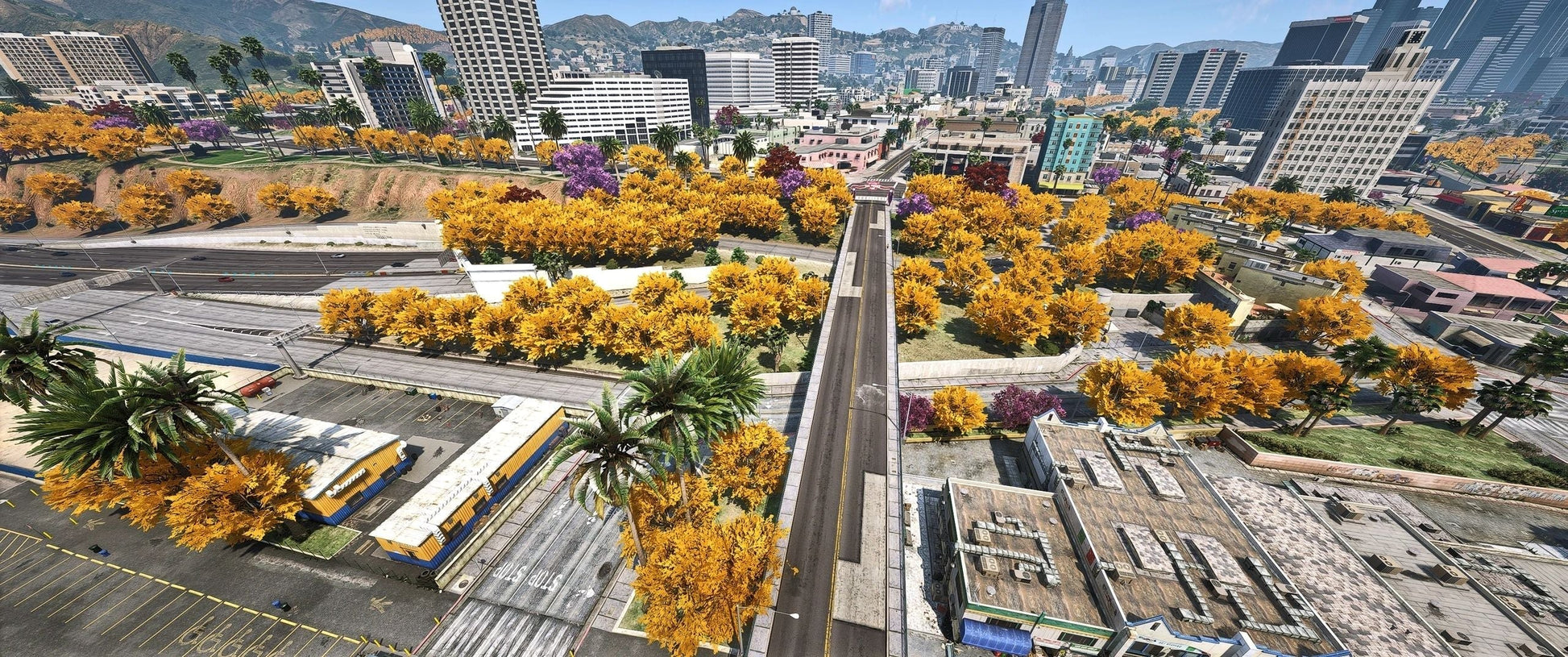  Tree Orange Flowers