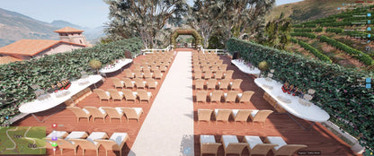  Vineyards Wedding
