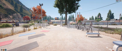  Extra Public Gyms (World)