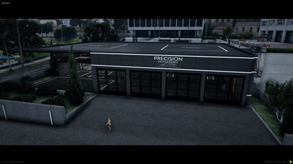  Precision Motorwerks (Mechanic)
