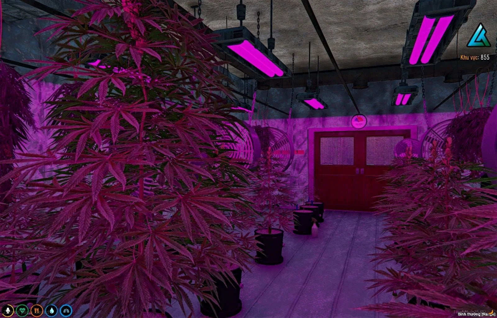  Secret underground marijuana plantation