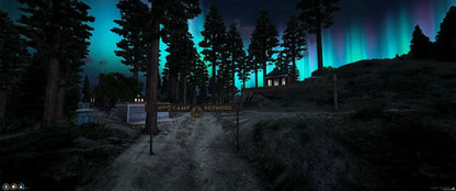  Summer Redwood Camp