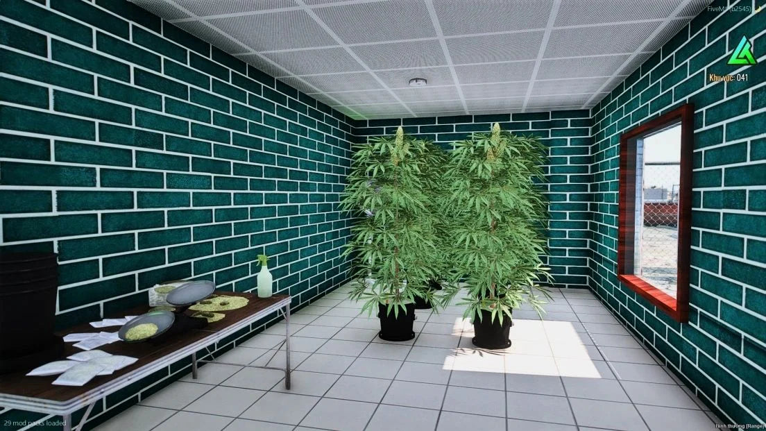  Weed Store + Cellphone Shop + Hardware Paleto Bay