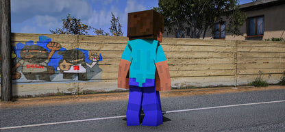 Minecraft Steve v2