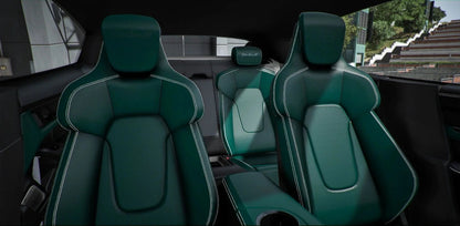 Porsche Taycan Coupe 2NCS | PolyFex
