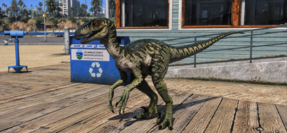 Raptor Dino