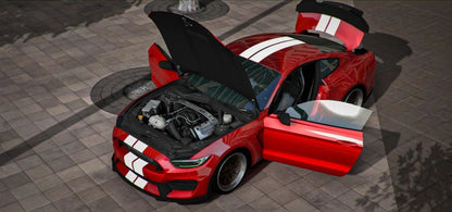 Shelby GT350R ABR | Pers