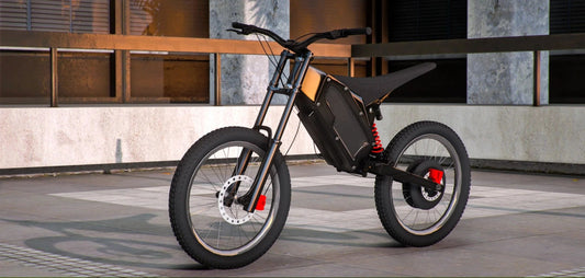 Stealth Bomber Bike | Lemon