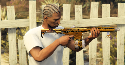 AR-13 Gold Reign