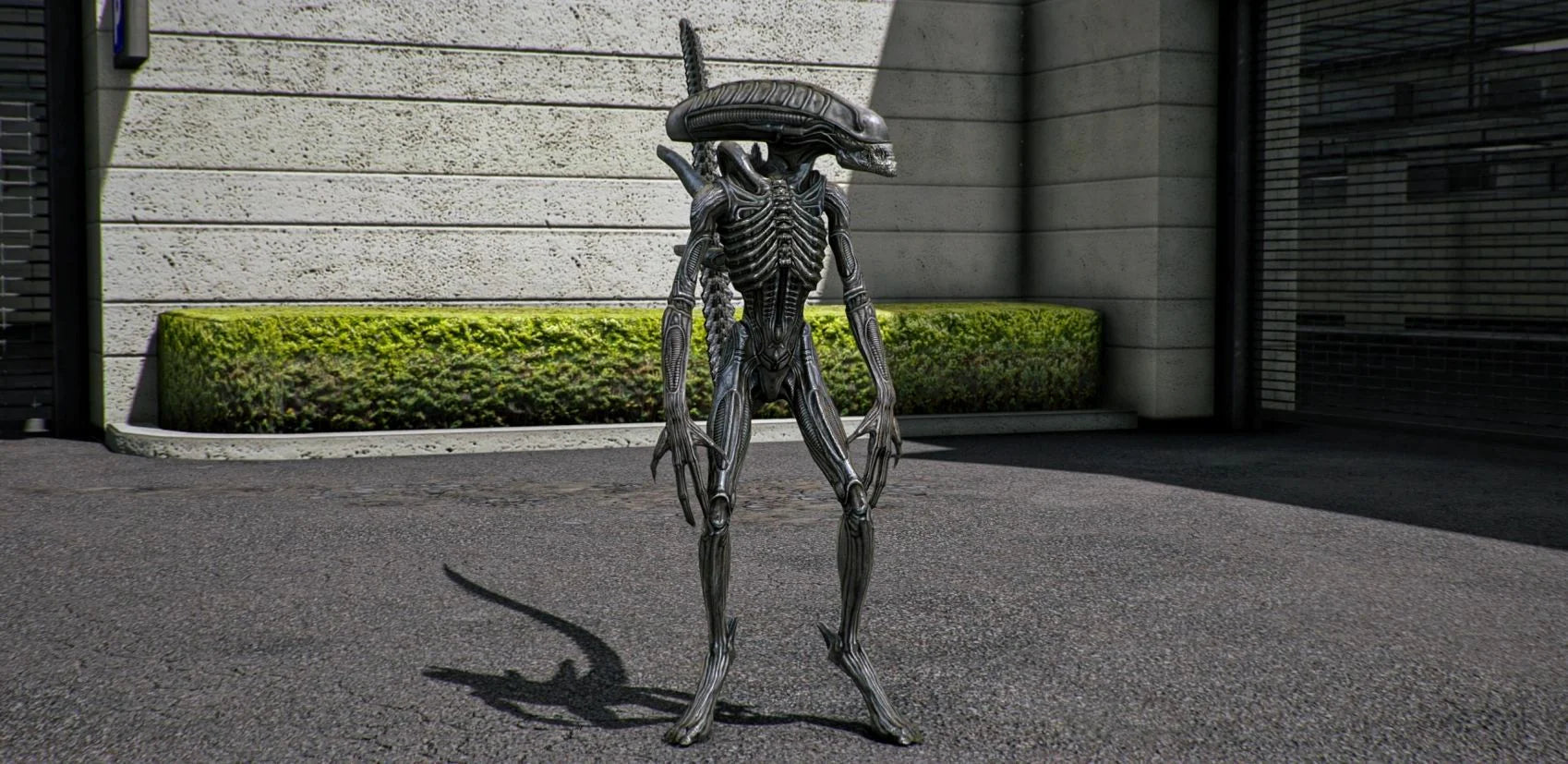 Selected Variant Image