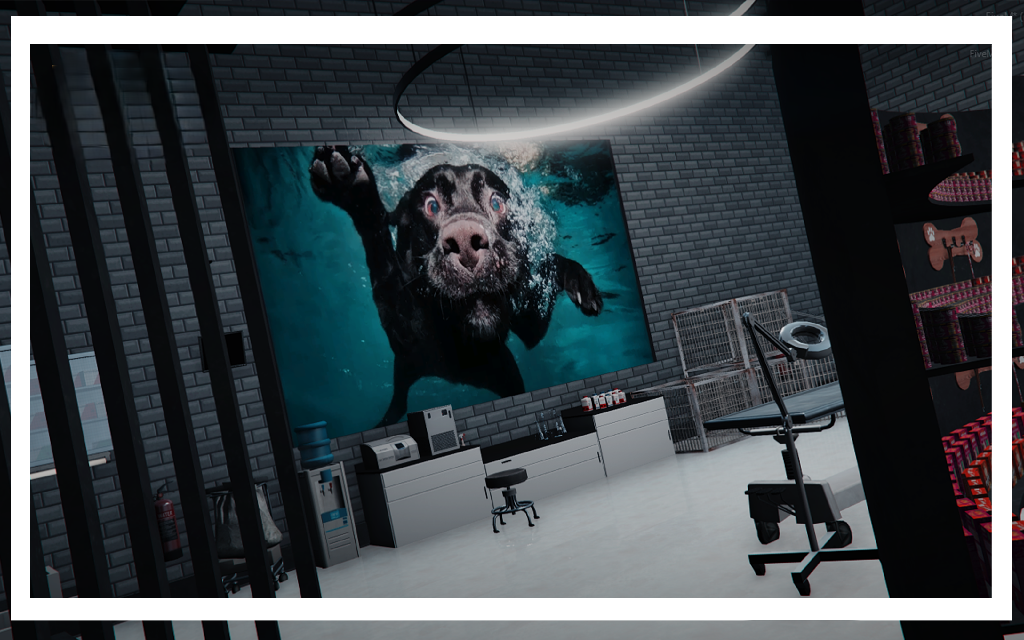  PetShop (Store)