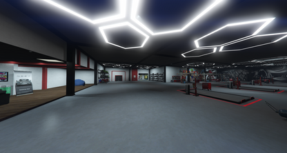  DICAPRIO MOTORS (Mechanic)