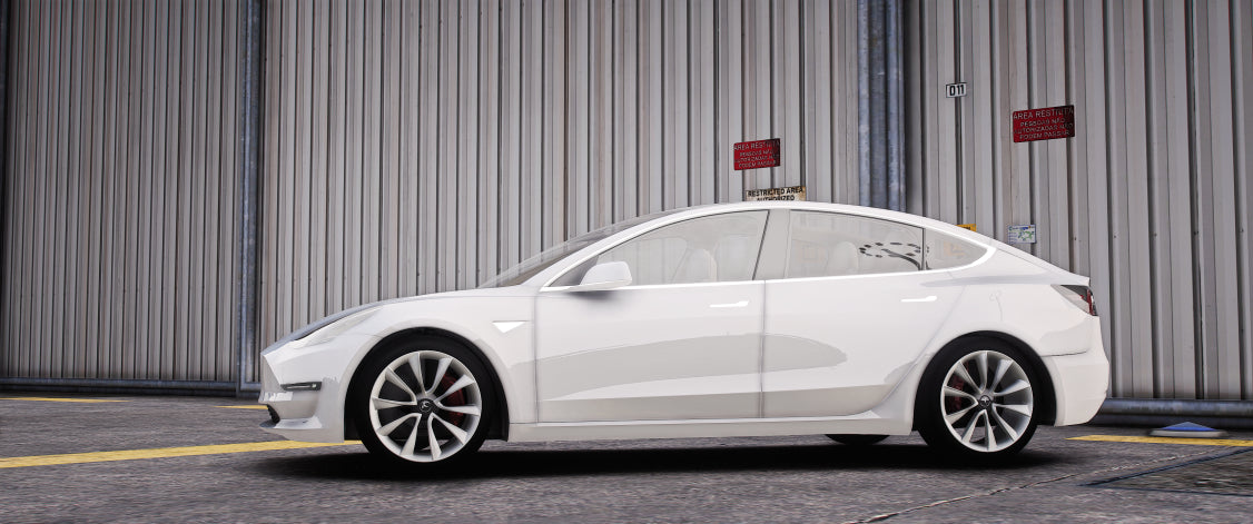Tesla Model 3 | VesMYG