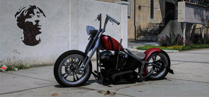 (Lore-Friendly)  Spirit Chopper | DFX Customs
